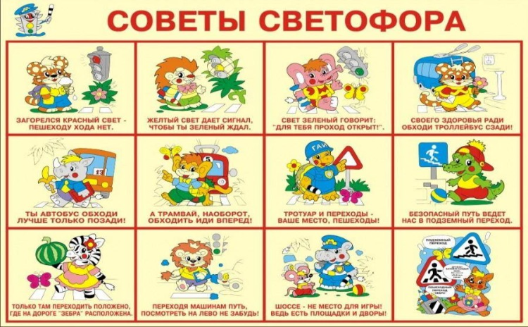 3 этап: практический. Познавательное и речевое развитие
